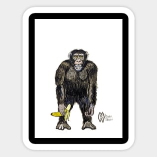 Chimpanzee monkey Sticker